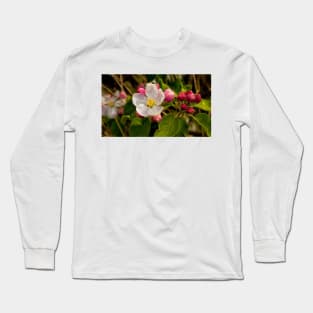 Apple Blossom Panorama (2) Long Sleeve T-Shirt